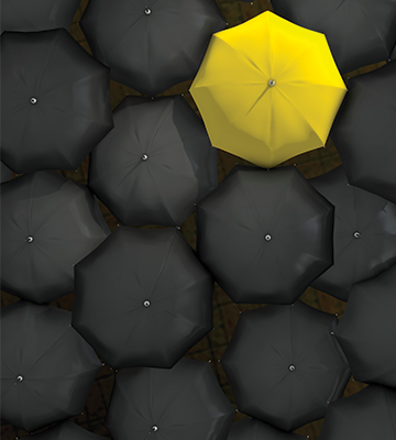 黄伞周围全是黑伞